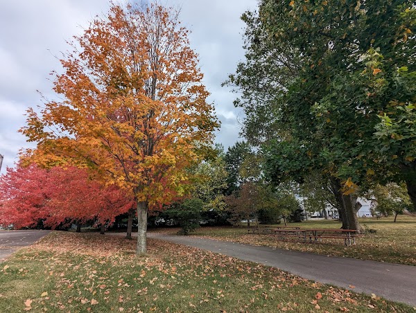 Meadowthorpe Park - Image 2