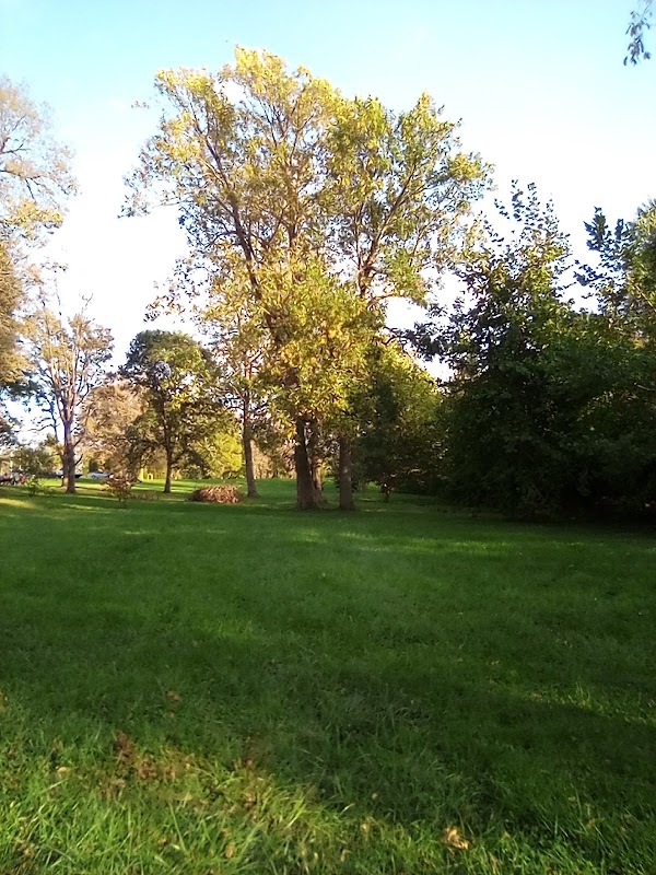 Shillito Park - Image 3