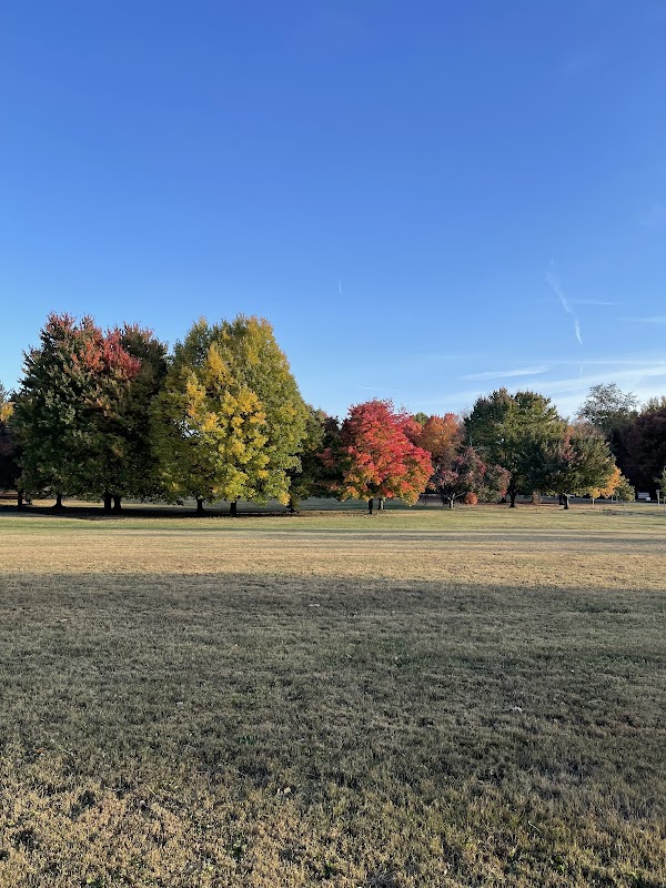 Des Pres Park - Image 3