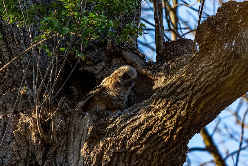 Louisville Parks and Recreation thumbnail