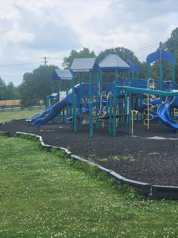 City/County Park - Image 2