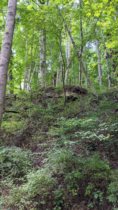 Pikeville Area Family YMCA - Image 3
