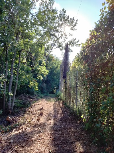 Maxwell Park - Image 2