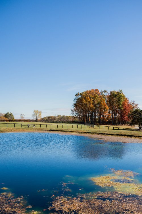 Harry T Clark Community Park - Image 2