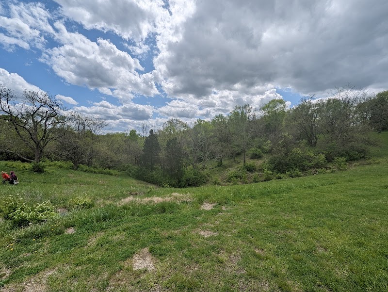 Taylor Mill Pride Park - Image 3