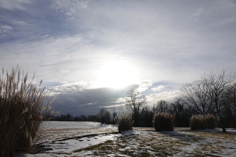 Union Park thumbnail