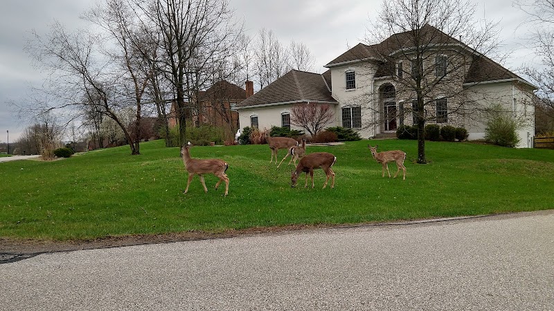 Triple Crown Country Club - Image 3