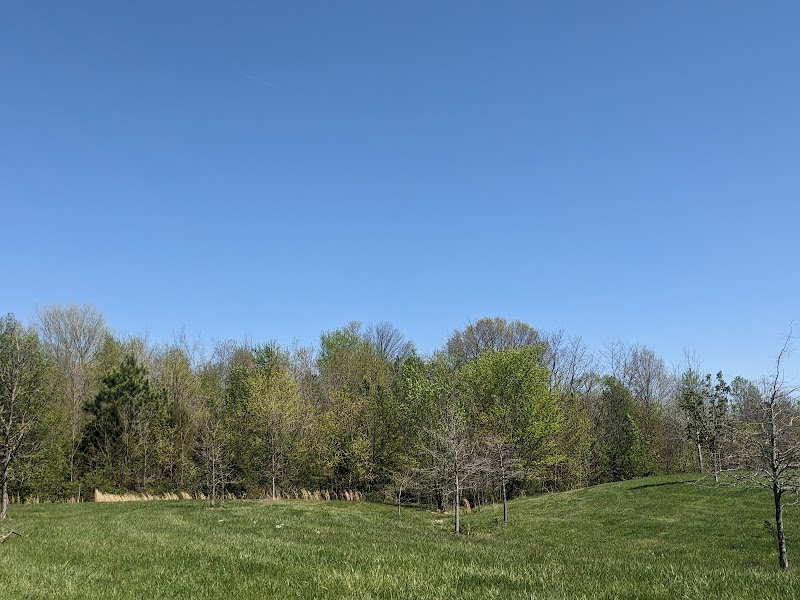 Sun Valley Community Center - Image 2