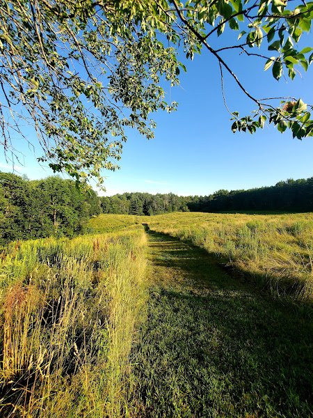 Falmouth Community Park - Image 2