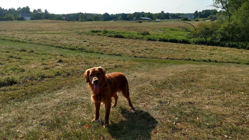 Falmouth Community Park - Image 3