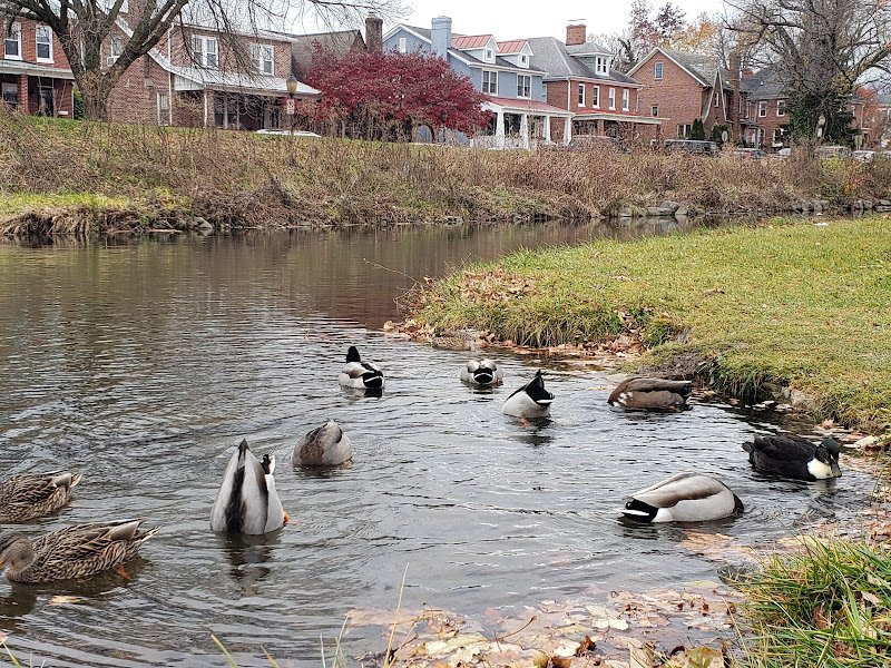 Baker Park - Image 2