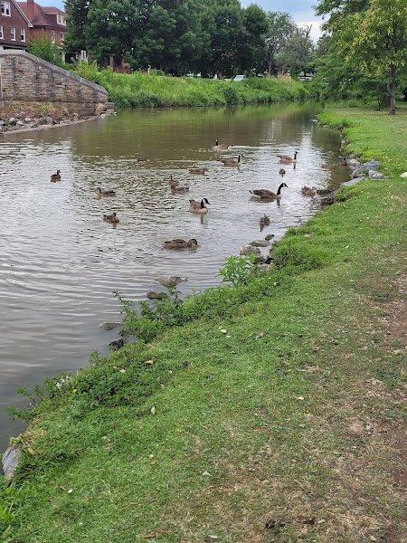 Baker Park - Image 3