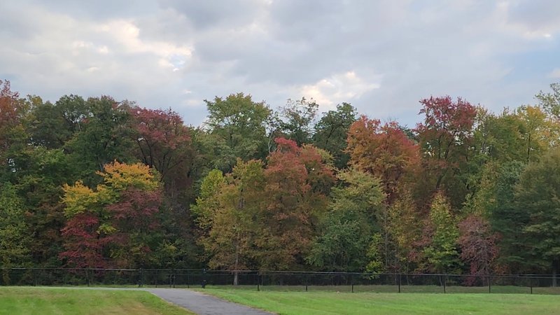 FreeTown Community Park thumbnail