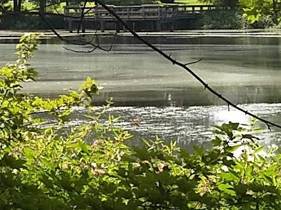 Ewing Pond Park thumbnail