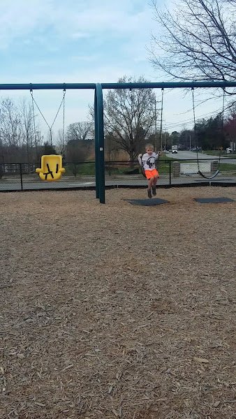 Mowbray Park - Image 2