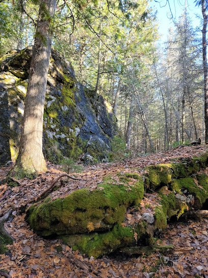William B. Derby Nature Preserve thumbnail
