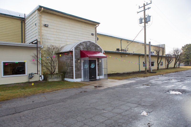 Island Athletics - Image 3