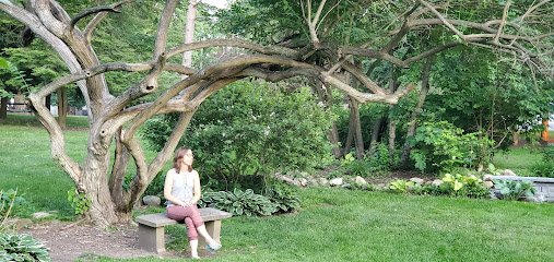 Crane Park thumbnail