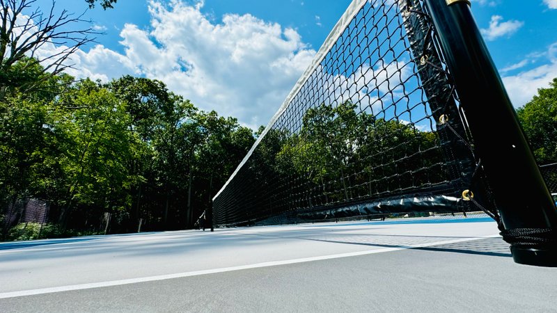 Livonia Athletic District thumbnail