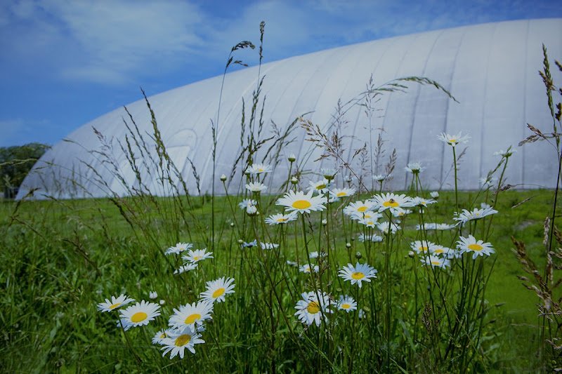Wessen Indoor Tennis Club - Image 1
