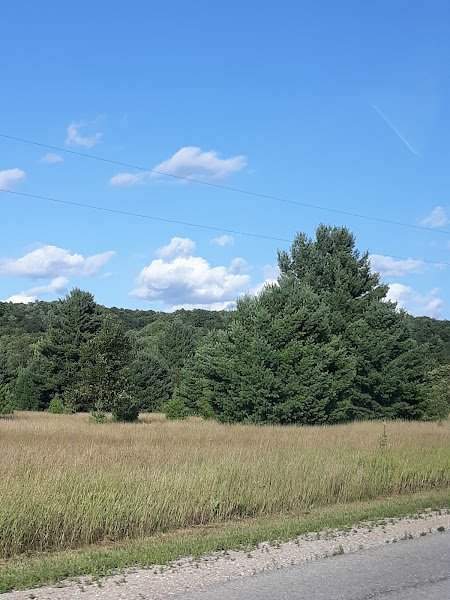 Redwood Park - Image 3