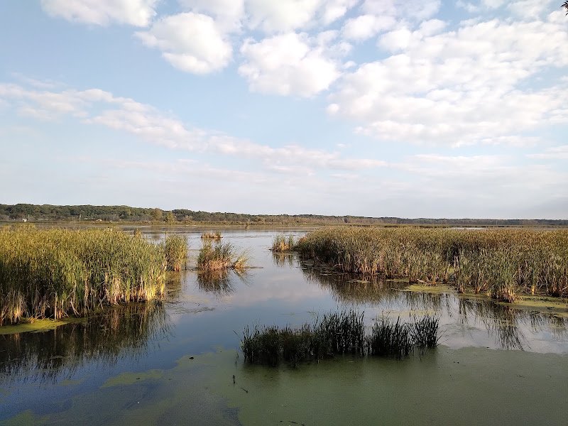 Lions Park thumbnail