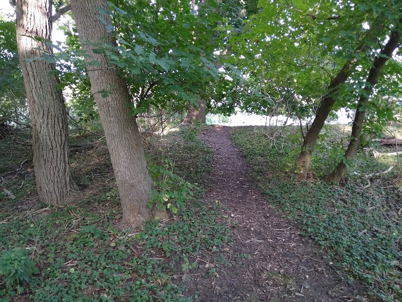 Lions Park - Image 3