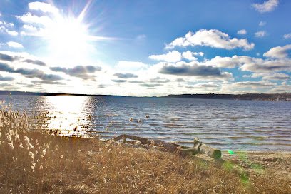 Svensson Park thumbnail