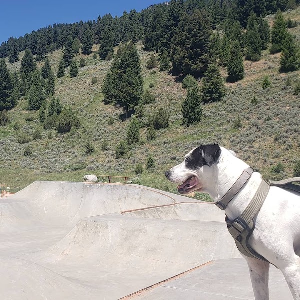 Big Sky Community Skatepark - Image 3