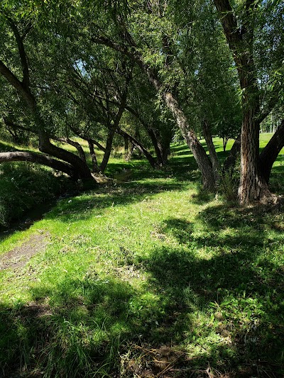 Pioneer Park thumbnail