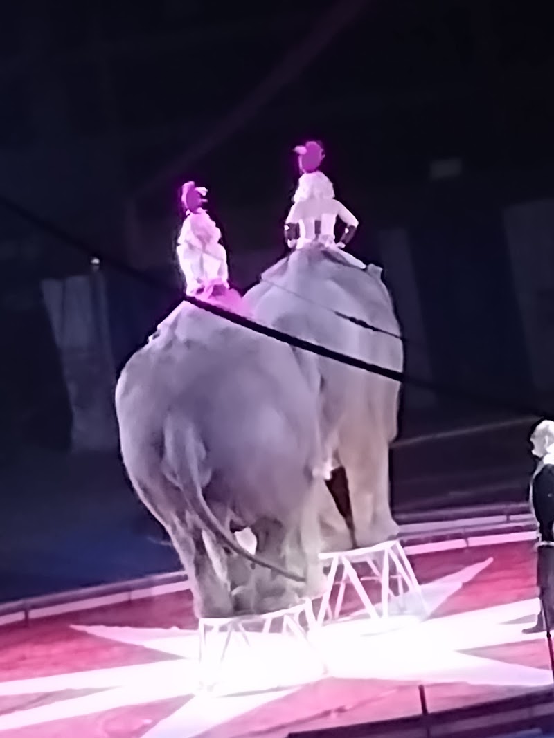 Butte Civic Center thumbnail