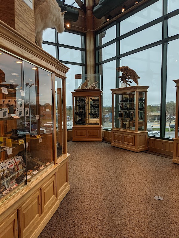 Scheels - Image 3