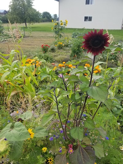 Hawthorne Park thumbnail