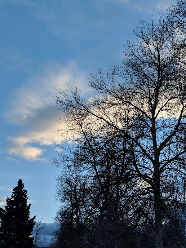 Hawthorne Park - Image 3