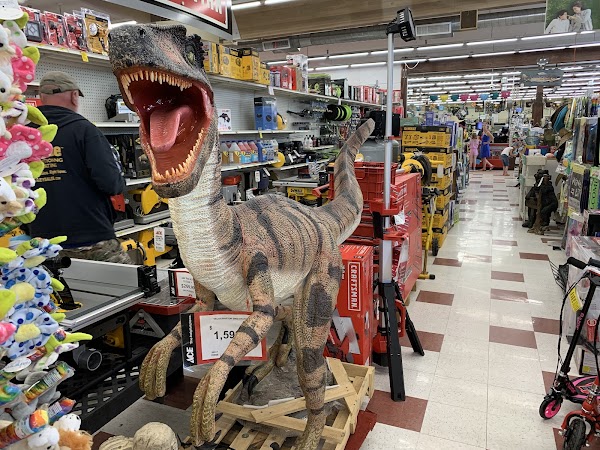 Ace Home and Garden Center - Image 2