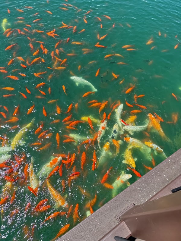 Mt. Washington Sports Complex - Image 3