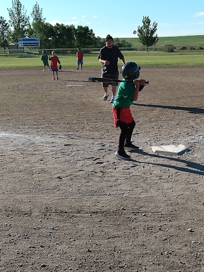 Borge Park Complex - Image 2