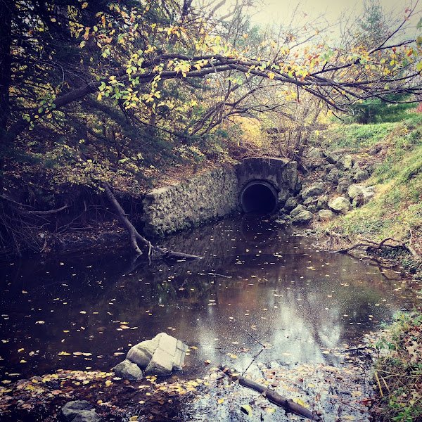 Chautauqua Park thumbnail