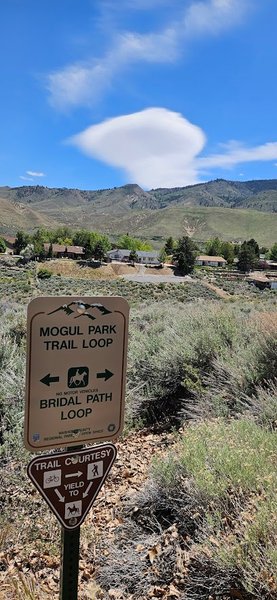 Mogul Park thumbnail