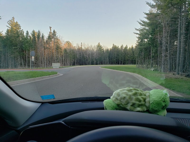 Fredericton Pickleball Club thumbnail