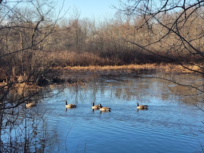 Fields Grove Park thumbnail
