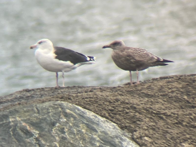 Grace OBrien Park - Image 3