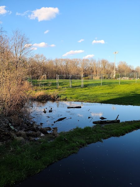 Decou Field Complex - Image 2