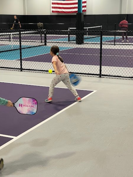 Proshot Pickleball - Image 3