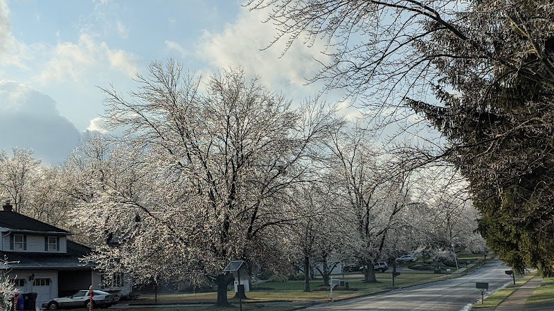 Black Brook Park - Image 2