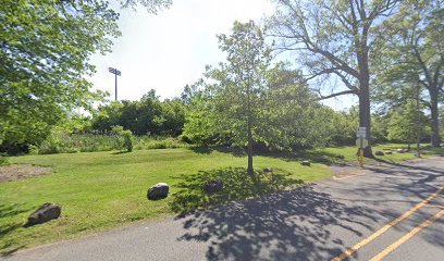 Madison Community Beehives thumbnail