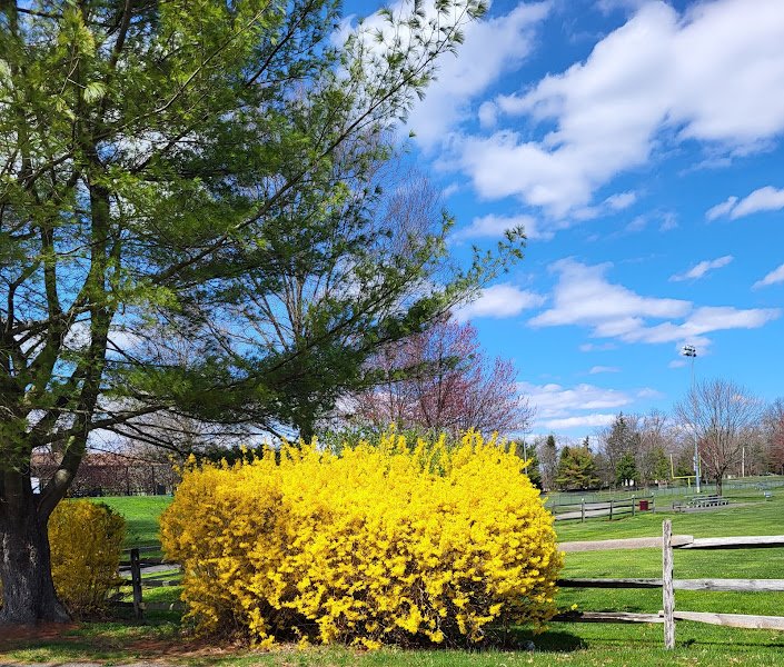 MANALAPAN RECREATION CENTER FIELD H - Image 3