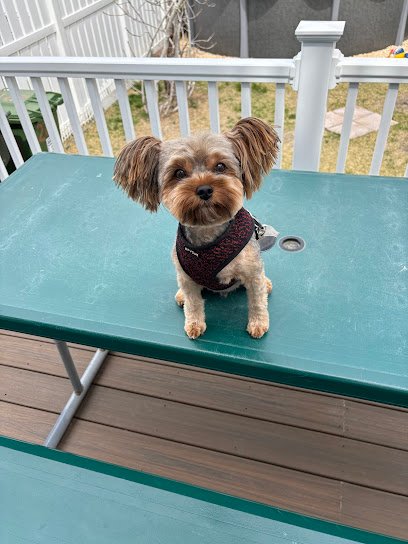 The Pickleball Center thumbnail