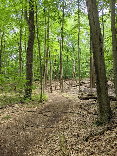 Thompson Park thumbnail