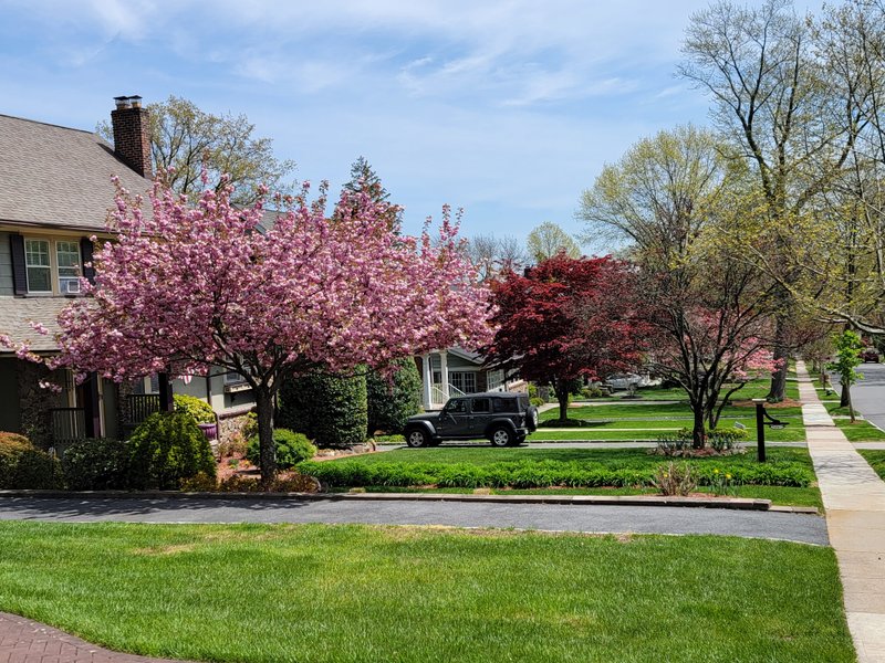 Brookdale Park thumbnail